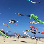 شقة Pierre - Cocon Familial Pour 6 Pers Dans L'hypercentre De Berck-plage