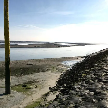 Pierre - Cocon Familial Pour 6 Pers Dans L'hypercentre De Berck-plage Апартаменты *